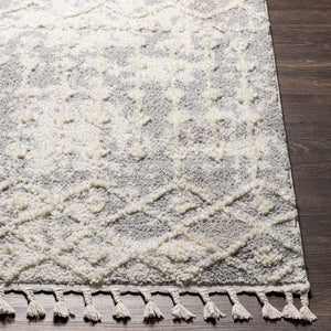 Livabliss Alhambra Machine Woven Polyester Area Rug High Low Pile Global Bohemian Living Room Light Gray, Cre 6'7" x 9' AHB2307-679