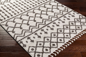 Livabliss Alhambra Moroccan Lattice High Pile Polyester Runner Rug for Hallways and Entryways AHB2308-2773