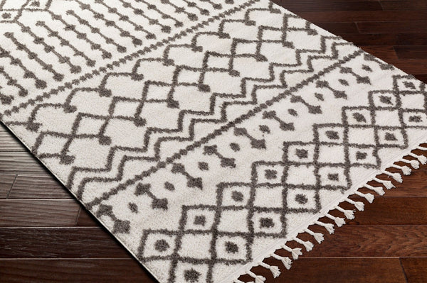 Livabliss Alhambra Moroccan Lattice High Pile Polyester Runner Rug for Hallways and Entryways AHB2308-2773
