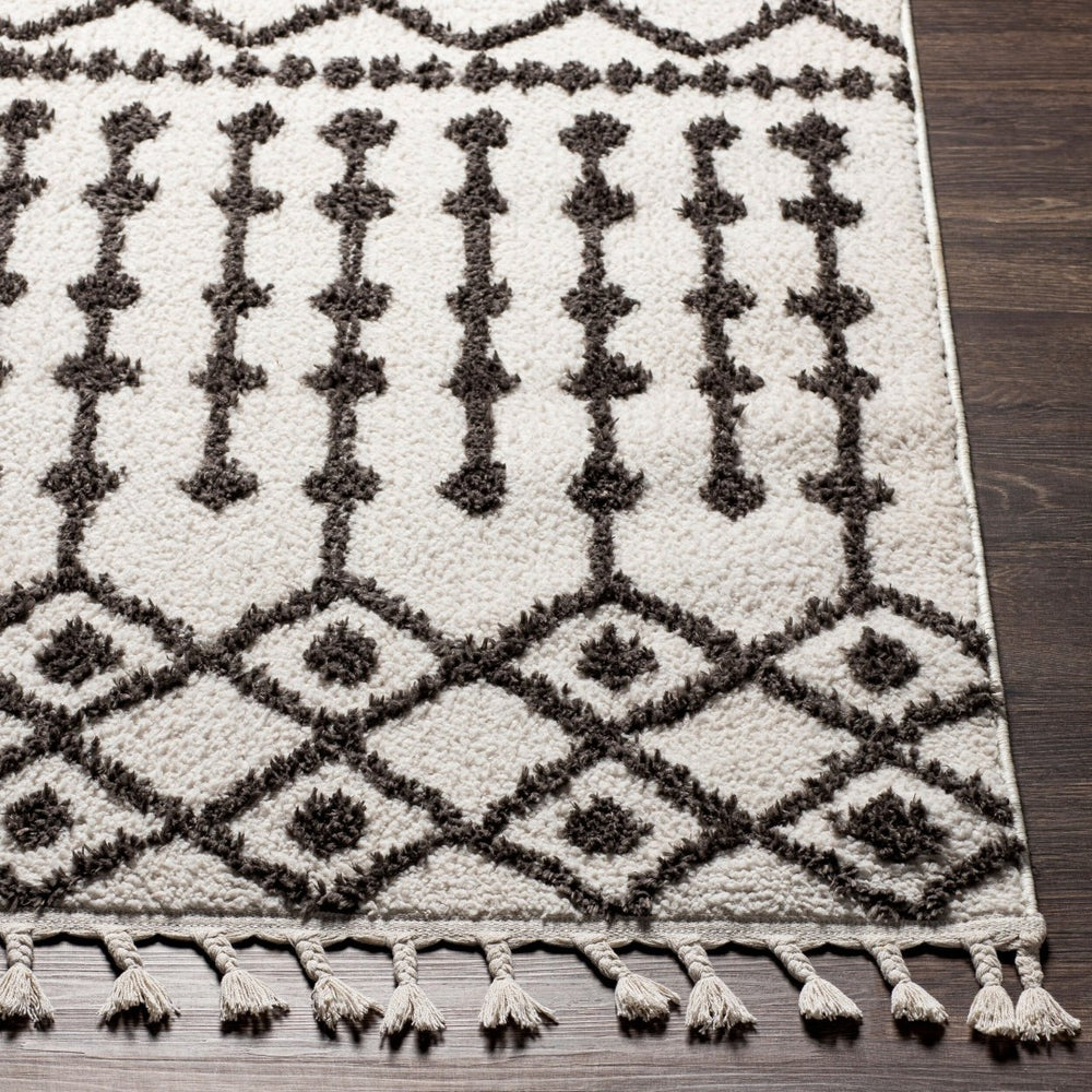 Livabliss Alhambra Moroccan Lattice High Pile Polyester Runner Rug for Hallways and Entryways AHB2308-2773