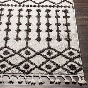 Livabliss Alhambra Moroccan Lattice High Pile Polyester Runner Rug for Hallways and Entryways AHB2308-2773