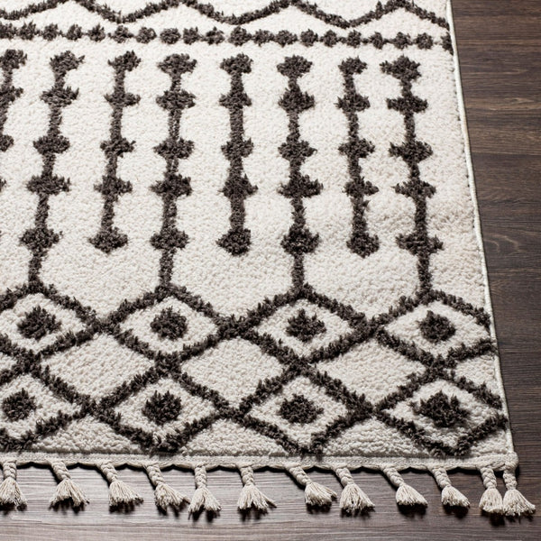 Livabliss Alhambra Moroccan Lattice High Pile Polyester Runner Rug for Hallways and Entryways AHB2308-2773