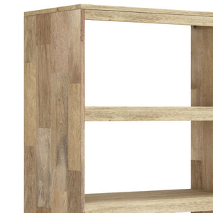 English Elm Jager Mid-Century Bookshelf with Doors - Mango Wood & Brass Inlay, Soft-Close Storage Shelves B136P158751