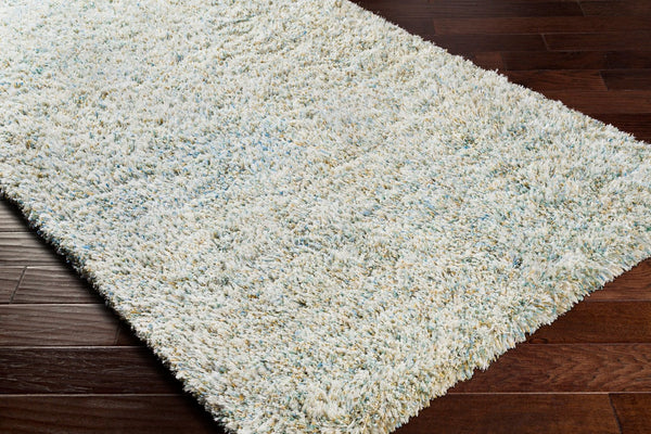 Livabliss Anaheim Handwoven Polyester Area Rug with Fringe Bohemian Accent for Entryway or Bath Sky Blue, Seafo 2' x 3' AHM2300-23