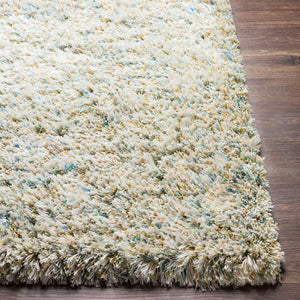 Livabliss Anaheim Handwoven Polyester Area Rug with Fringe Bohemian Accent for Entryway or Bath Sky Blue, Seafo 2' x 3' AHM2300-23