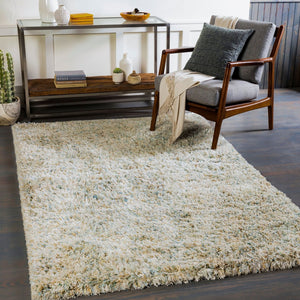 Livabliss Anaheim Handwoven Polyester Area Rug with Fringe Bohemian Accent for Entryway or Bath Sky Blue, Seafo 2' x 3' AHM2300-23