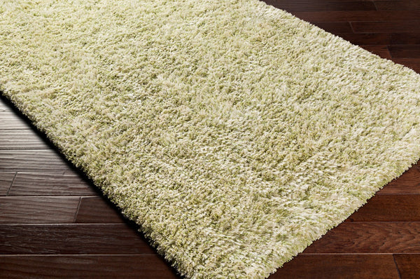 Surya Anaheim Ahm-2302 2'6" X 8' Hand Woven Area Rug - Luxurious Plush Polyester With Stylish Fringe Grass Green Polyester Ahm2303-23
