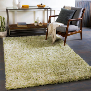 Surya Anaheim Ahm-2302 2'6" X 8' Hand Woven Area Rug - Luxurious Plush Polyester With Stylish Fringe Grass Green Polyester Ahm2303-23