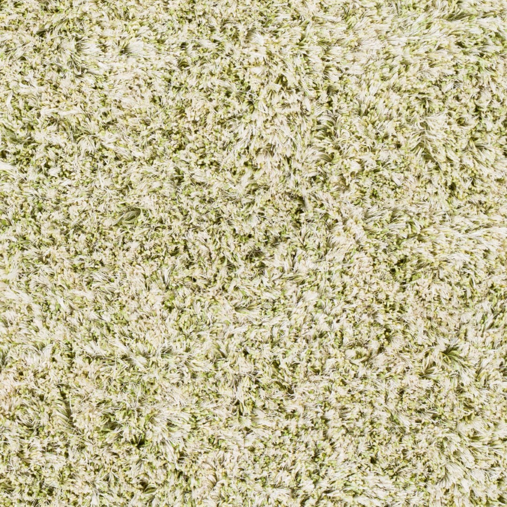 Surya Anaheim Ahm-2302 2'6" X 8' Hand Woven Area Rug - Luxurious Plush Polyester With Stylish Fringe Grass Green Polyester Ahm2303-268