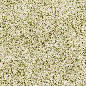 Surya Anaheim Ahm-2302 2'6" X 8' Hand Woven Area Rug - Luxurious Plush Polyester With Stylish Fringe Grass Green Polyester Ahm2303-23
