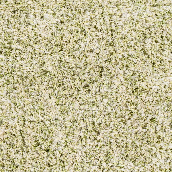Surya Anaheim Ahm-2302 2'6" X 8' Hand Woven Area Rug - Luxurious Plush Polyester With Stylish Fringe Grass Green Polyester Ahm2303-23