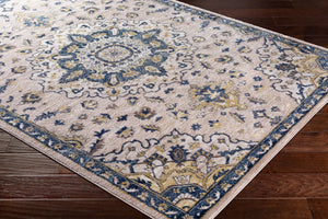 Livabliss Athens Traditional Polypropylene Woven Rug for Entryways and Compact Living Spaces AHN2305-23