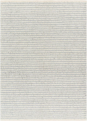 Livabliss Ahlat Handwoven Flatweave Runner Wool Cotton Blend for Hallways and High Traffic Areas Light Blue, Cre 9' x 12' AHT2303-912