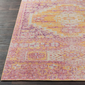 Livabliss Antioch Machine Woven Polyester Accent Rug Traditional Motifs for Entryway or Bedside AIC2300-23