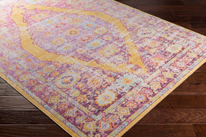 Livabliss Antioch Machine Woven Polyester Area Rug Low Pile Turkish Craft for Busy Living Spaces AIC2303-913