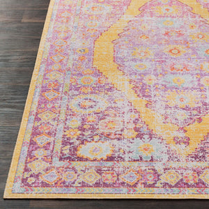 Livabliss Antioch Machine Woven Polyester Area Rug Low Pile Turkish Craft for Busy Living Spaces AIC2303-913
