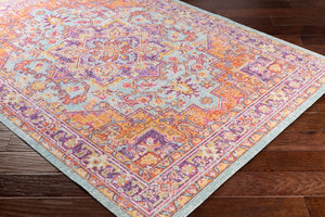 Livabliss Antioch Machine Woven Turkish Area Rug Low Pile Traditional Motifs for Entryways AIC2317-23