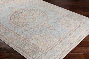 Livabliss Antioch Traditional Polyester Accent Rug Low Pile Machine Woven for Entryways and Baths AIC2326-23