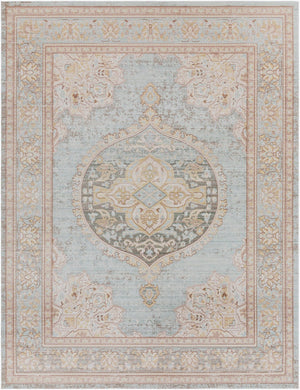 Livabliss Antioch Traditional Polyester Accent Rug Low Pile Machine Woven for Entryways and Baths AIC2326-23