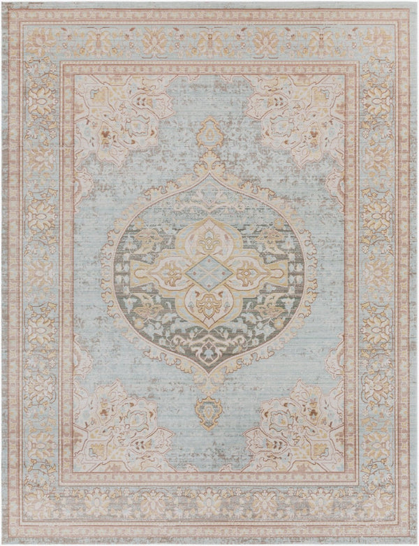 Livabliss Antioch Traditional Polyester Accent Rug Low Pile Machine Woven for Entryways and Baths AIC2326-23
