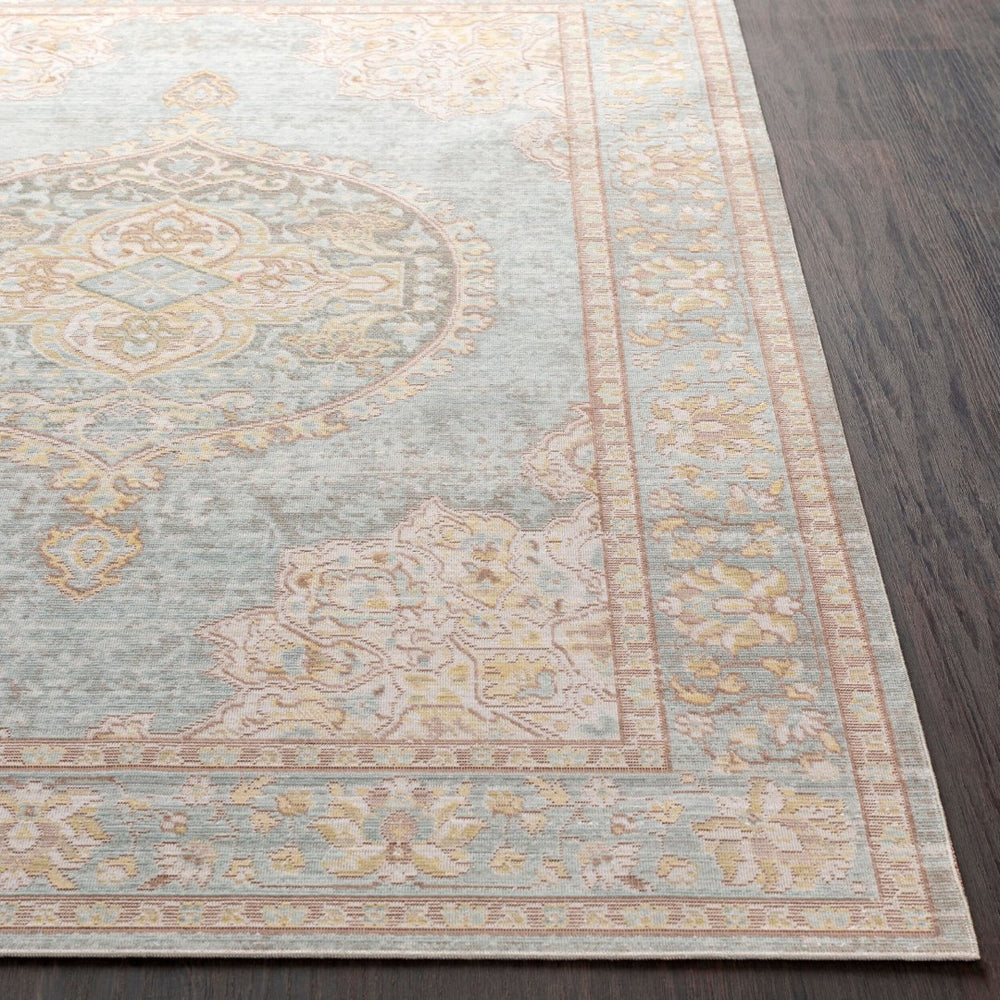 Livabliss Antioch Traditional Polyester Accent Rug Low Pile Machine Woven for Entryways and Baths AIC2326-23