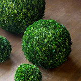 Preserved Boxwood Ball, 16" EBD80085 Park Hill