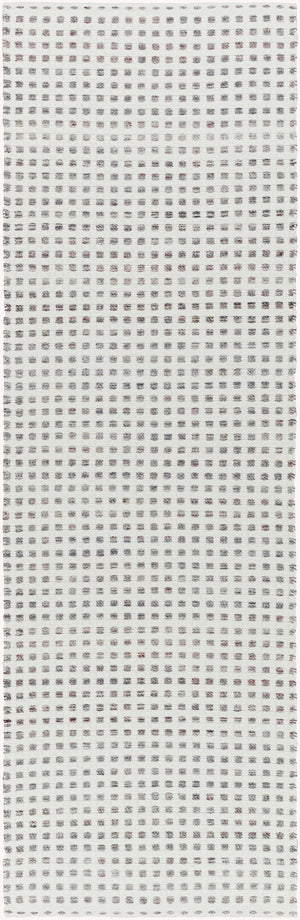 Surya Ariel Eco-friendly 2' X 3' Handmade Area Rug - Stylish, Soft, And Sustainable For Any Room White Recycled Pet Yarn Ail2300-268