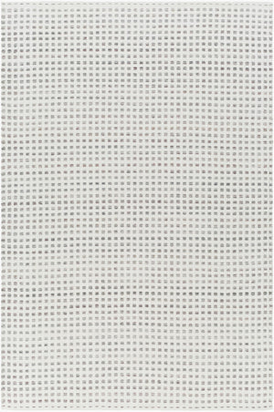 Surya Ariel Eco-friendly 2' X 3' Handmade Area Rug - Stylish, Soft, And Sustainable For Any Room White Recycled Pet Yarn Ail2300-23