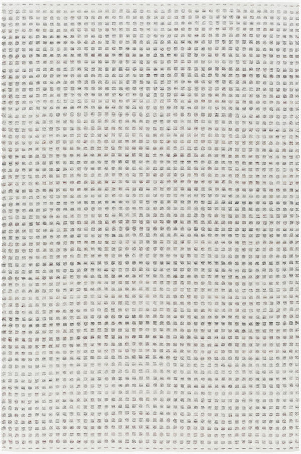 Surya Ariel Eco-friendly 2' X 3' Handmade Area Rug - Stylish, Soft, And Sustainable For Any Room White Recycled Pet Yarn Ail2300-23