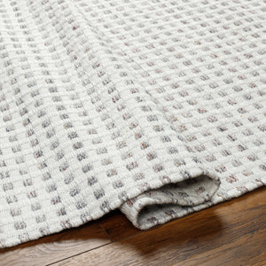 Ariel AIL-2300 9' x 12' Handmade Rug AIL2300-912  White, Light Gray, Rust Surya