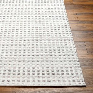 Ariel AIL-2300 9' x 12' Handmade Rug AIL2300-912  White, Light Gray, Rust Surya