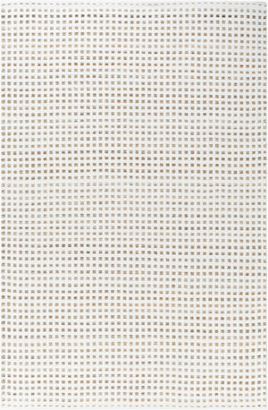 Surya Ariel Eco-friendly 2' X 3' Handmade Area Rug - Stylish, Soft, And Sustainable For Any Room White Recycled Pet Yarn Ail2301-23