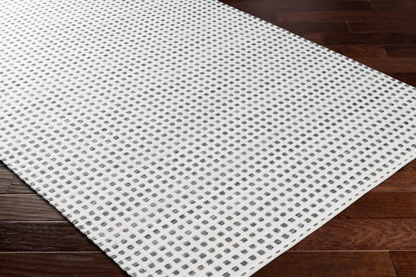 Surya Ariel Eco-friendly 2' X 3' Handmade Area Rug - Stylish, Soft, And Sustainable For Any Room White Recycled Pet Yarn Ail2302-23