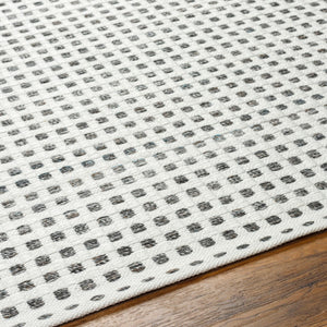 Surya Ariel Eco-friendly 2' X 3' Handmade Area Rug - Stylish, Soft, And Sustainable For Any Room White Recycled Pet Yarn Ail2302-23
