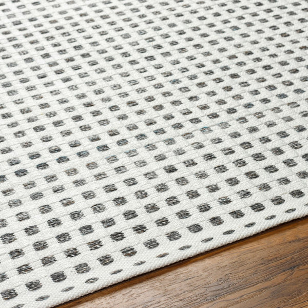 Surya Ariel Eco-friendly 2' X 3' Handmade Area Rug - Stylish, Soft, And Sustainable For Any Room White Recycled Pet Yarn Ail2302-23
