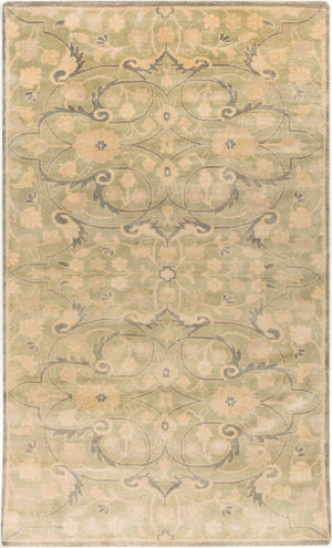 Surya Ainsley Handmade 2' X 3' Wool Rug - Elegant, Durable, And Comfortable Décor For Your Home! Light Olive Nz Wool Ain1013-3959