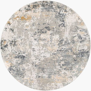 Livabliss Aisha Machine Woven Viscose Blend Area Rug with Lustrous Sheen for Living Rooms Charcoal, Gray 7'10" x 7'10" AIS2303-710RD