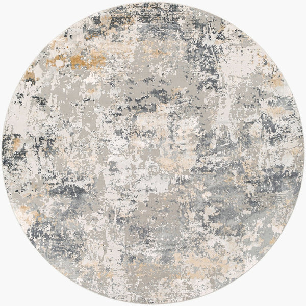 Livabliss Aisha Machine Woven Viscose Blend Area Rug with Lustrous Sheen for Living Rooms Charcoal, Gray 7'10" x 7'10" AIS2303-710RD
