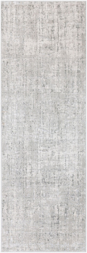 Livabliss Aisha Machine Woven Polyester Viscose Area Rug Mid-century Modern Living Room Accent Light Gray, Gra 2'7" x 7'7" AIS2305-2777