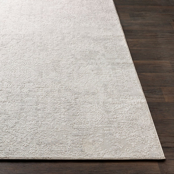 Livabliss Aisha Traditional Pattern Area Rug Polyester Viscose Blend Soft Plush Living Room Floor Light Gray, Whi 7'10" x 7'10" AIS2306-710RD