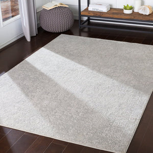 Livabliss Aisha Traditional Pattern Area Rug Polyester Viscose Blend Soft Plush Living Room Floor Light Gray, Whi 12' x 15' AIS2306-1215
