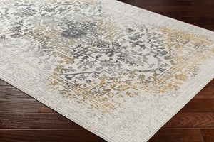 Livabliss Aisha Medallion Area Rug Viscose Polyester Blend with Soft Sheen for Living Rooms Charcoal, Gray 2'7" x 7'7" AIS2308-2777