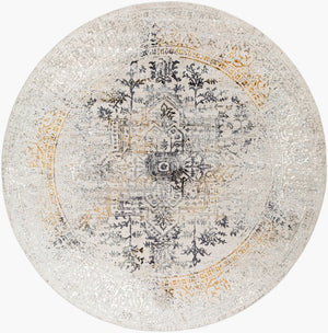 Livabliss Aisha Medallion Area Rug Viscose Polyester Blend with Soft Sheen for Living Rooms Charcoal, Gray 5'3" x 5'3" AIS2308-53RD