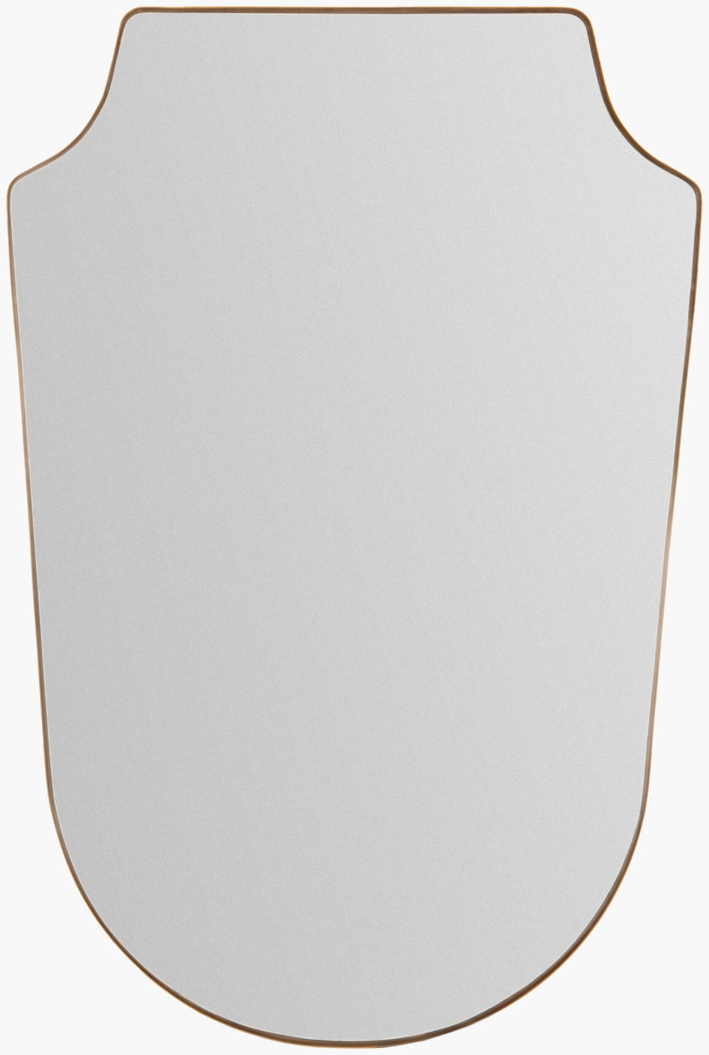 Livabliss Ajanta Rectangular Wall Mirror Slim Profile Contemporary Accent for Entryway or Hallway AJT002-3624