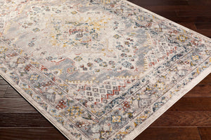 Livabliss Ankara Traditional Turkish Runner Rug Polypropylene Pile for Hallways and Entryways Taupe, Gray 7'10" x 10'2" AKR2301-710103