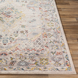 Livabliss Ankara Traditional Turkish Runner Rug Polypropylene Pile for Hallways and Entryways Taupe, Gray 7'10" x 10'2" AKR2301-710103