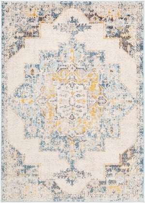 Livabliss Ankara Traditional Polypropylene Accent Rug Woven in Turkey for Entryways and Hallways Ice Blue, Mediu 8'10" x 12' AKR2309-81012