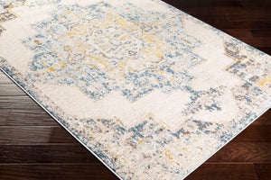 Livabliss Ankara Traditional Polypropylene Accent Rug Woven in Turkey for Entryways and Hallways Ice Blue, Mediu 7'10" x 10'2" AKR2309-710103