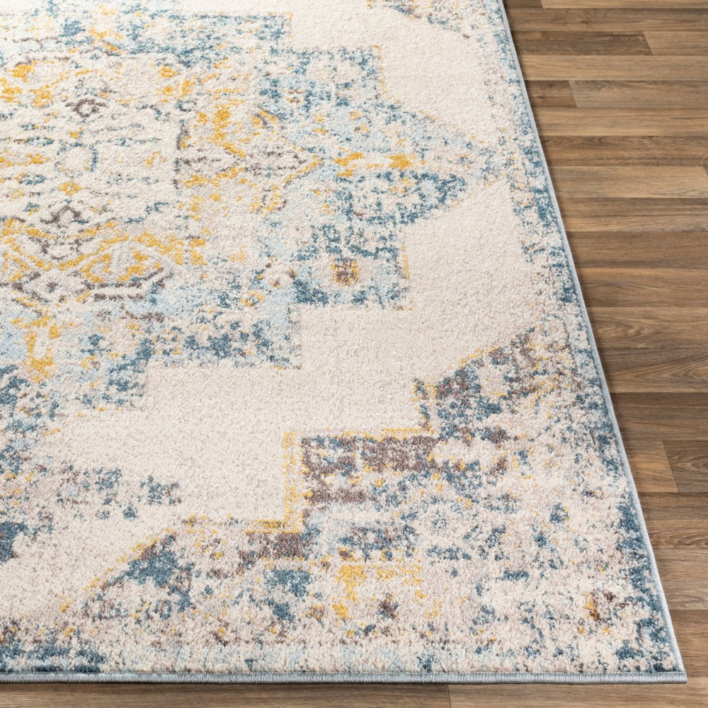 Livabliss Ankara Traditional Polypropylene Accent Rug Woven in Turkey for Entryways and Hallways Ice Blue, Mediu 8'10" x 12' AKR2309-81012