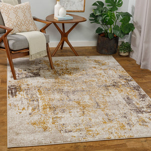 Livabliss Ankara Polypropylene Area Rug Turkish Woven Minimalist Modern Living Room Floor AKR2347-679